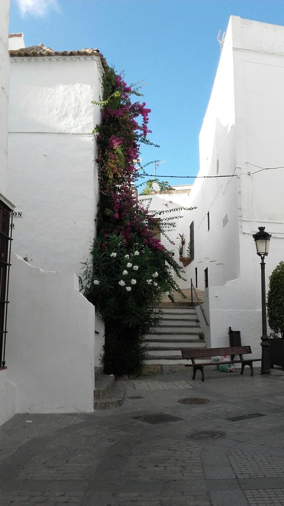 Casa Calle Alta Maria Bajo Vejer de la Frontera Dış mekan fotoğraf